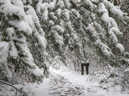 Snow on the Rough Trail